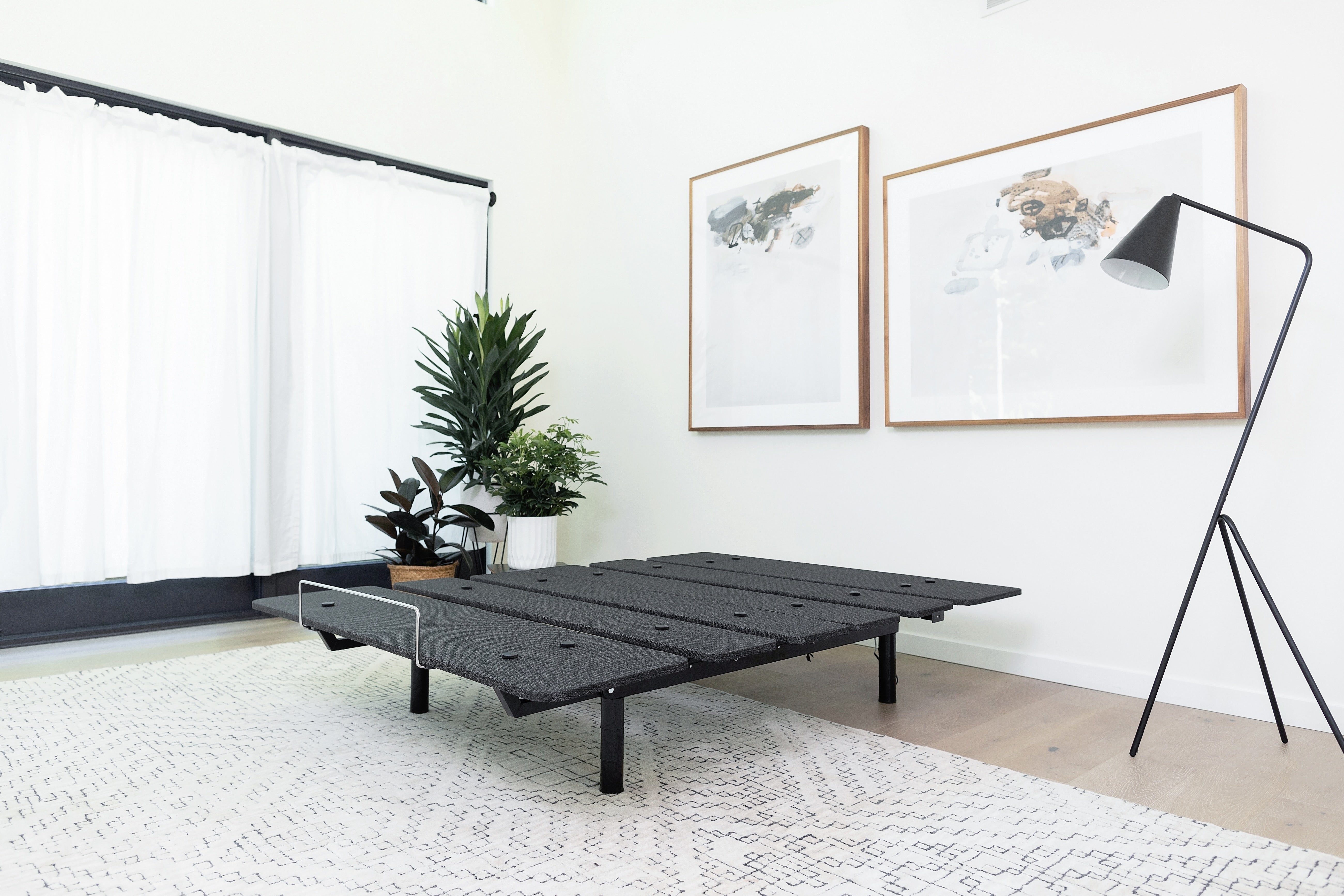 Black adjustable bed in a room with plants and framed pictures on the wall.
