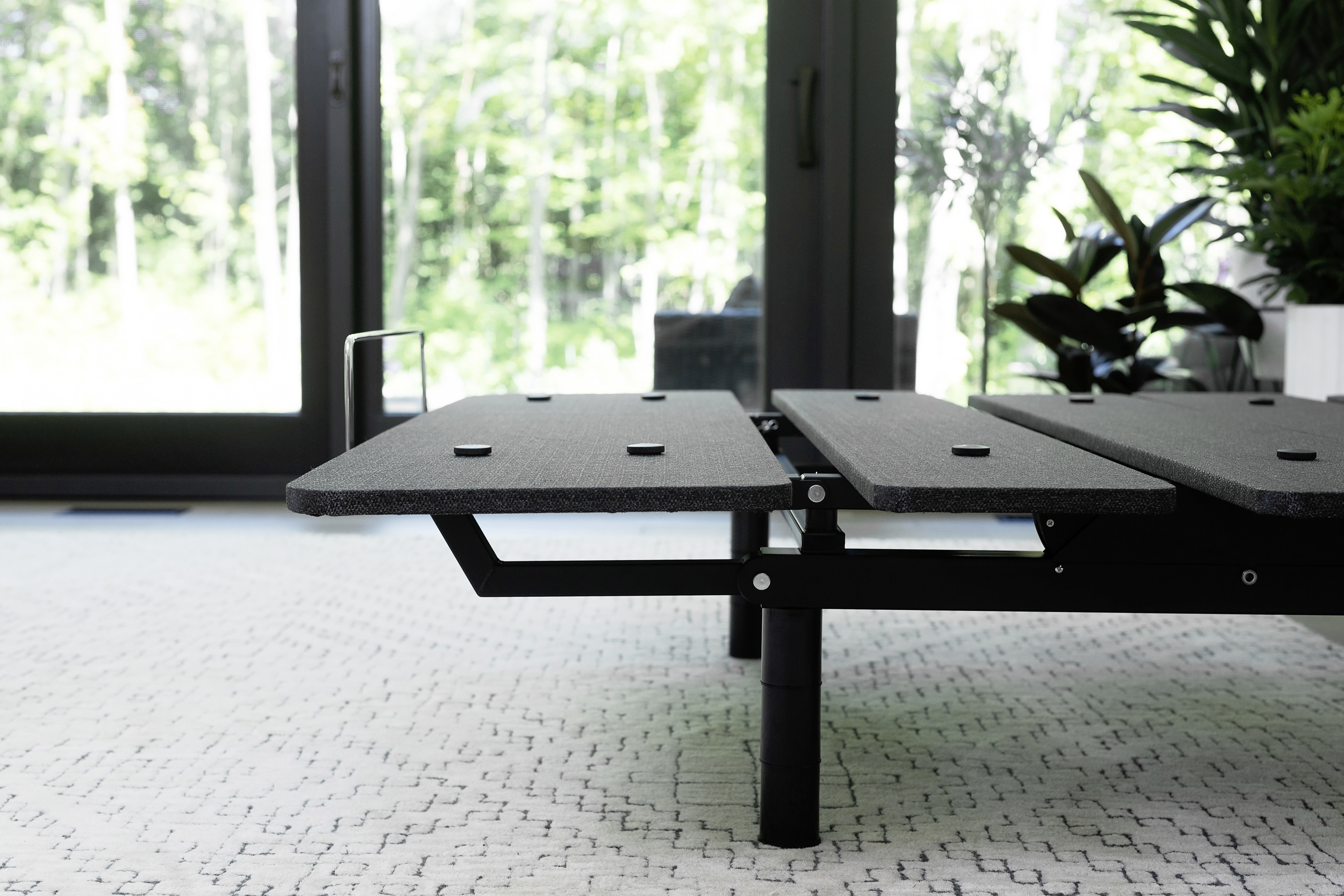Black metal bed frame on a white carpet with large windows in the background