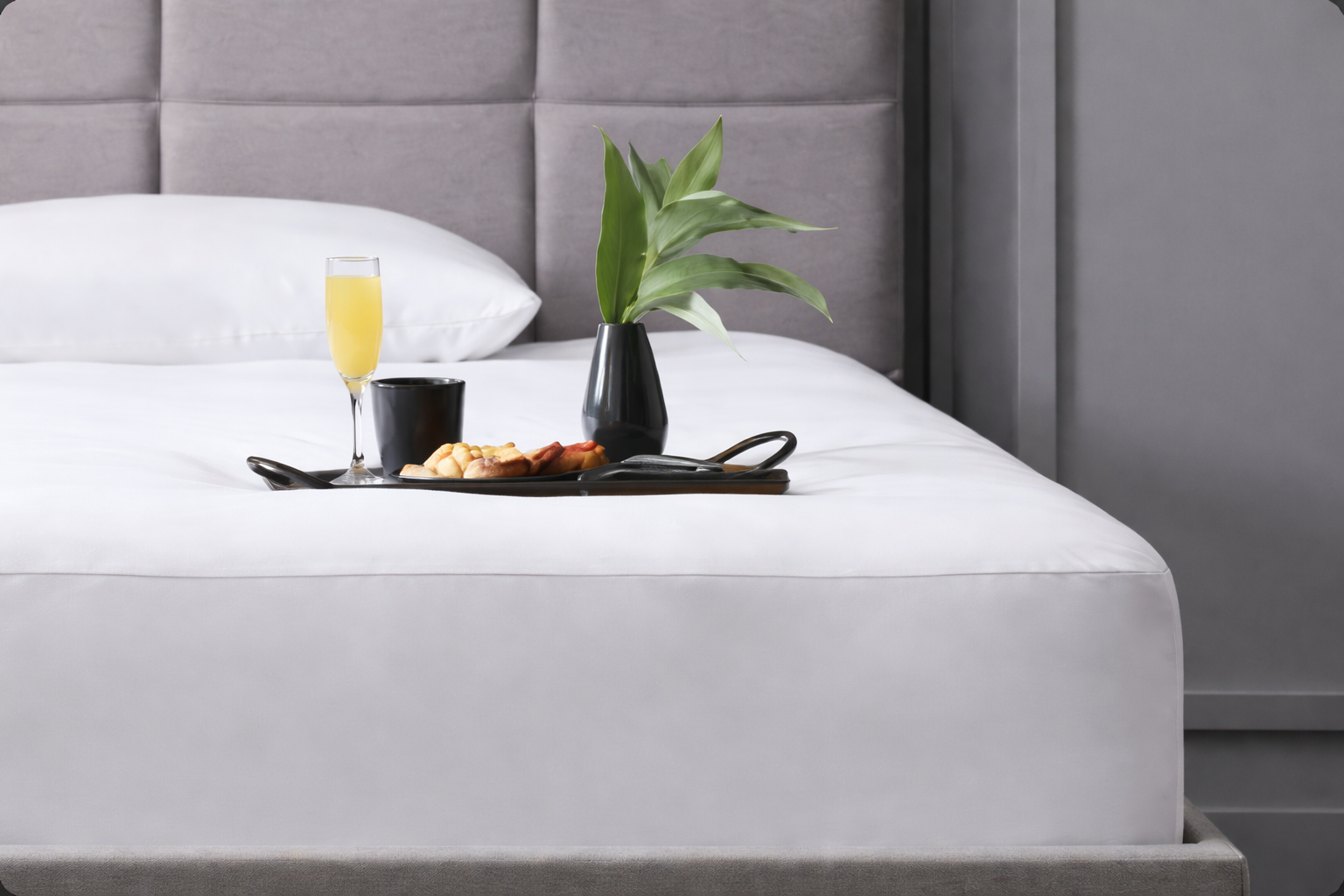 Close up of protector with breakfast tray on it