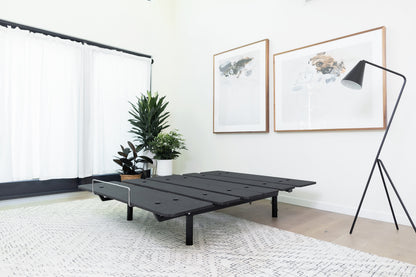Black adjustable bed in a room with plants and framed pictures on the wall.