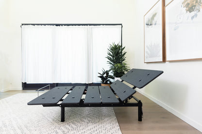Black adjustable bed in a room with white walls, a plant, and framed pictures.