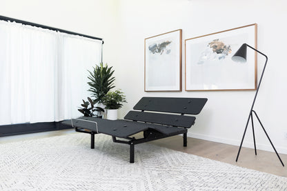 Black adjustable bed in a room with white walls, a plant, and framed pictures.