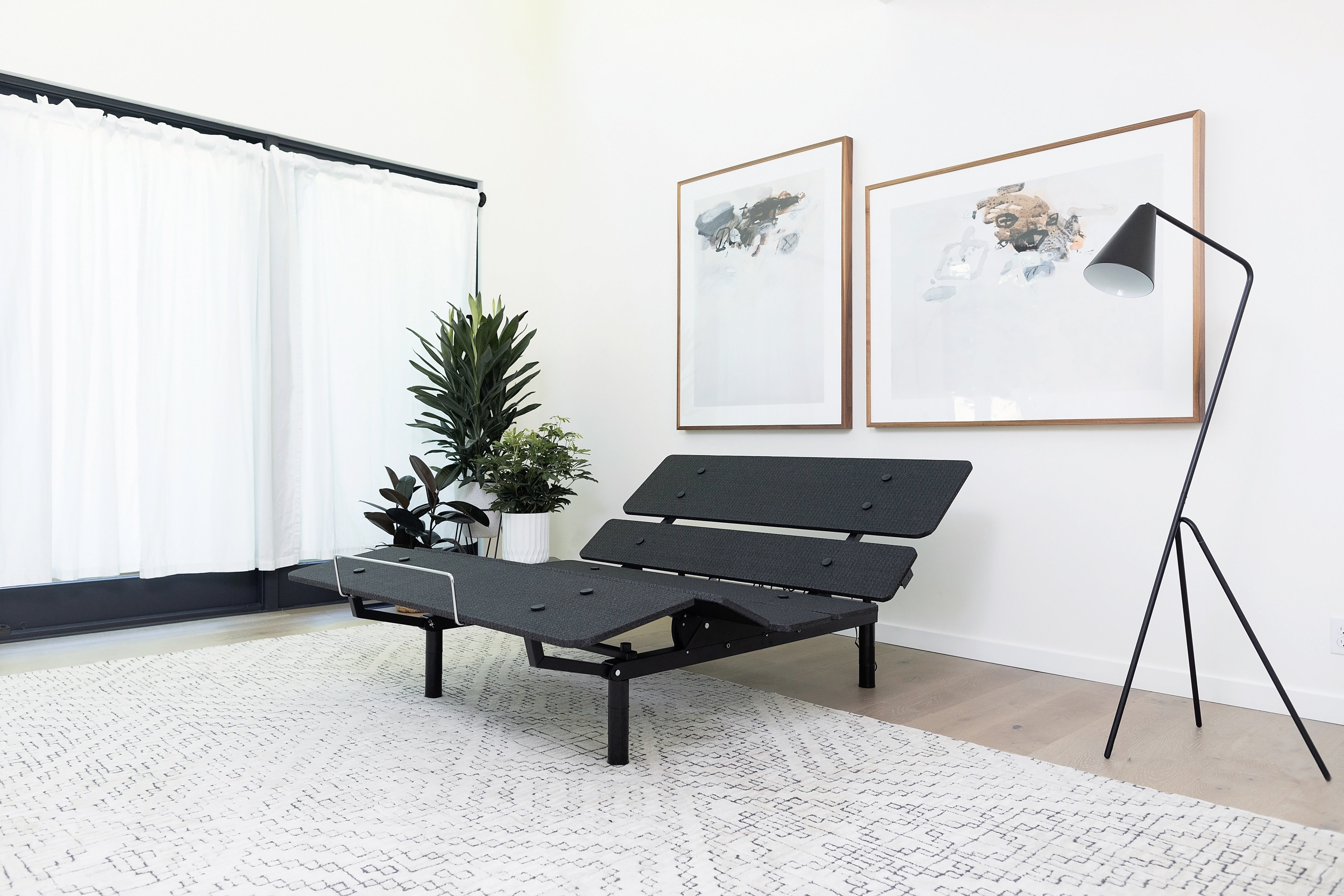 Black adjustable bed in a room with white walls, a plant, and framed pictures.