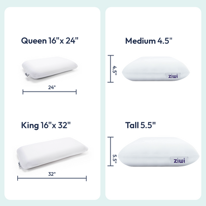 Ziwi pillow with dimensions labeled on a light blue background